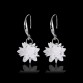 2019 new 925 silver Earrings Female Crystal from Swarovski New woman snow glob name earrings Twins micro set hot Fashion jewelry32819297749